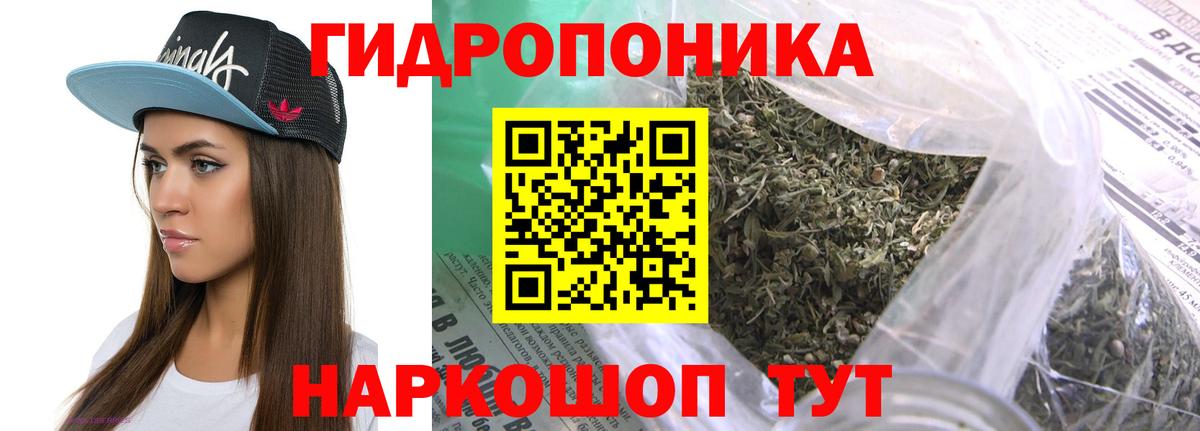 Бошки Шишки семена Новый Уренгой